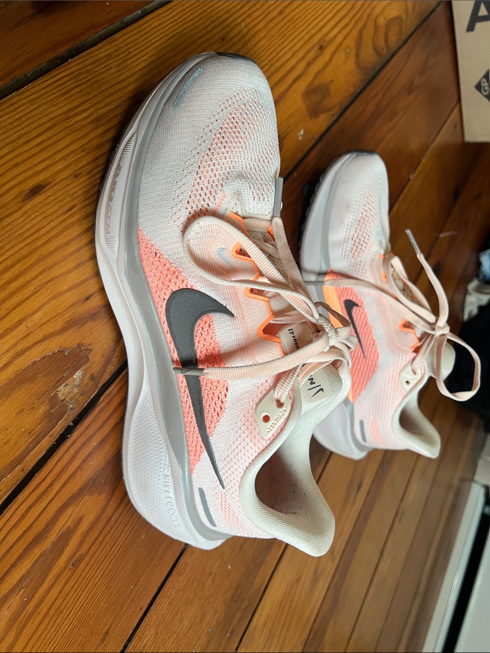 Nike Pegasus